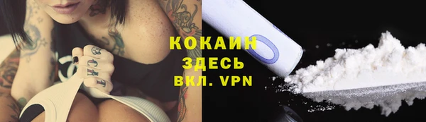 дмт Армянск