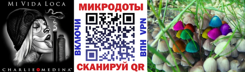 Галлюциногенные грибы мицелий Черкесск