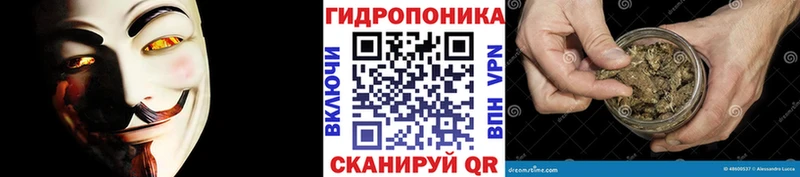 Шишки марихуана гибрид  Черкесск 